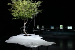One Tree ID, installation view Muffathalle Munic, 2021